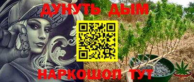 ПСИЛОЦИБИНОВЫЕ ГРИБЫ Заводоуковск