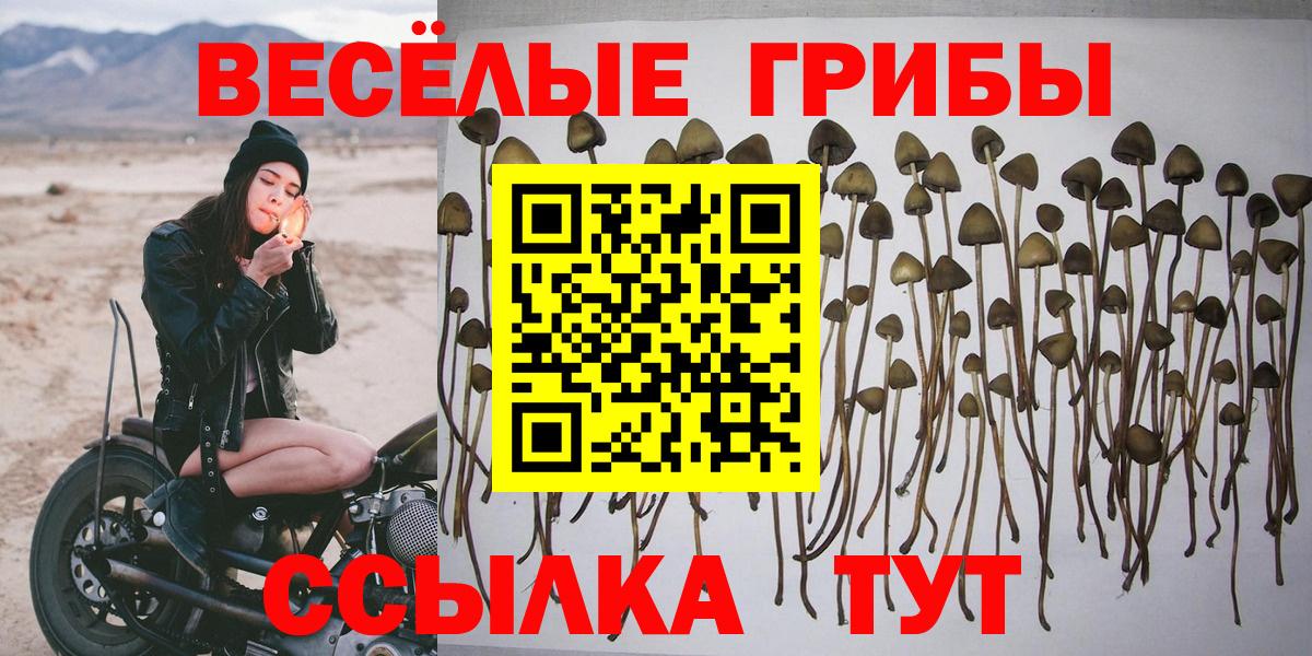 Галлюциногенные грибы ЛСД Ликино-Дулёво